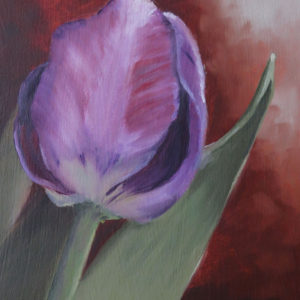Tulip