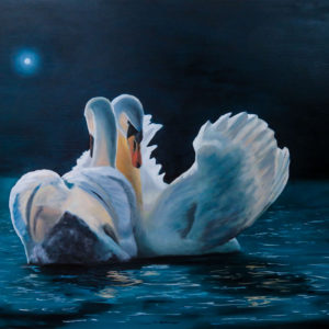 Moonlight Swans