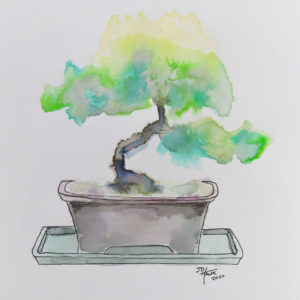 Bonsai Tree #2