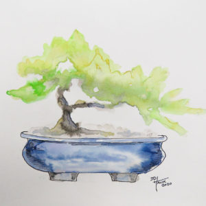 Bonsai Tree #3
