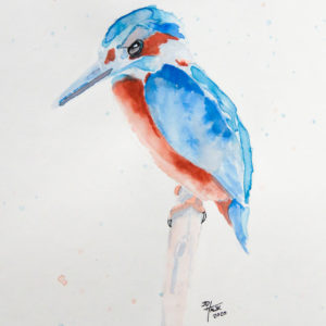 King Fisher