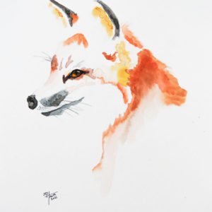 Fox Portrait