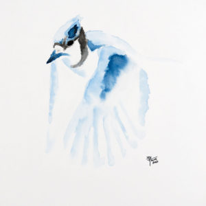 Janna's Bluejay