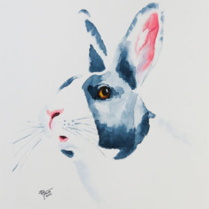 Rabbit Portrait