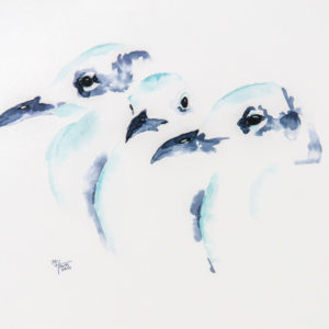 Three Seagulls