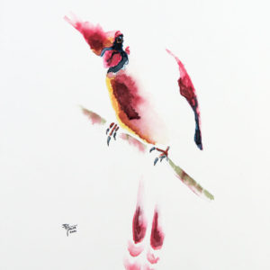 Cardinal on a branch