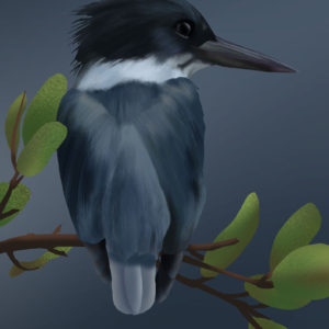 Kingfisher before the storm