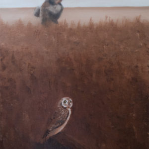 The Owl and The Photographer