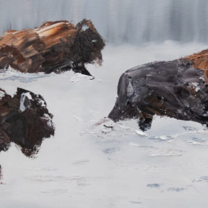Three Bison in Snow