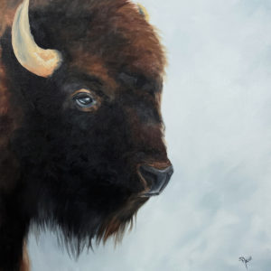 Untitled Bison Head