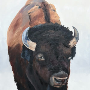 Spirit of the Bison