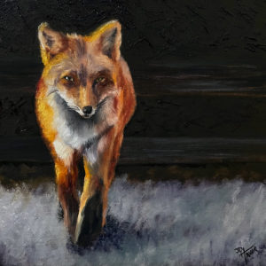 Fox from the Shadows