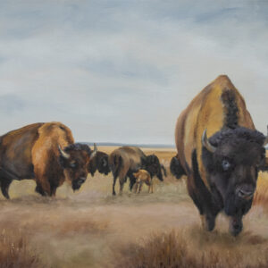 Herd on Prairies