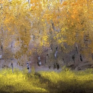 Trail into the Woods